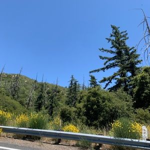 TKR DYE SET SHIPPING